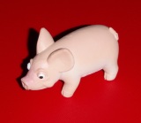 This little piggy Happy Australian Bacon Week